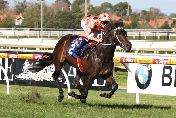 Black Caviar